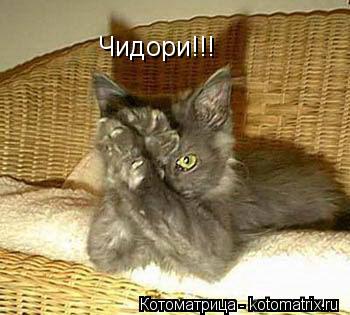 Чидори!!!... Котоматрица: Чидори!!!