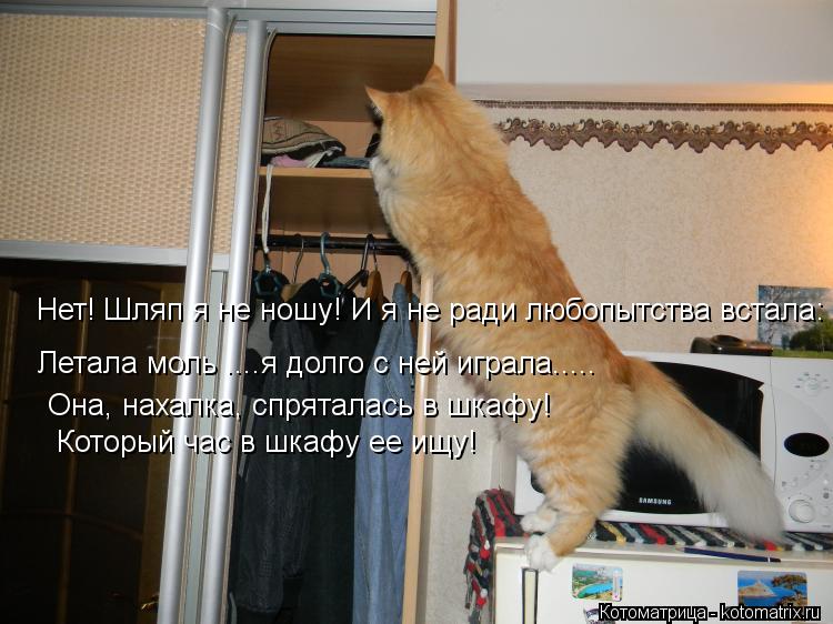 Котоматрица: Нет! Шляп я не ношу! И я не ради любопытства встала: Летала моль ....я долго с ней играла..... Она, нахалка, спряталась в шкафу! Который час в шкафу