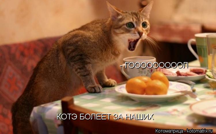 Котоматрица: КОТЭ БОЛЕЕТ ЗА НАШИХ - ГОООООООООЛ
