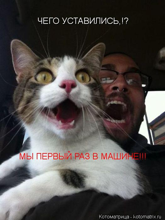 Котоматрица: ЧЕГО УСТАВИЛИСЬ,!? МЫ ПЕРВЫЙ РАЗ В МАШИНЕ!!!