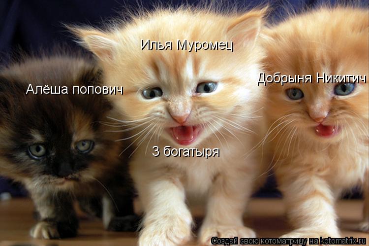 Алёша попович Илья Муромец Добрыня Никитич 3 богатыря... Котоматрица: Алёша попович Илья Муромец Добрыня Никитич 3 богатыря