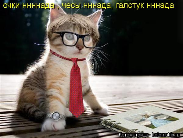 Котоматрица: очки ннннада , чесы нннада, галстук нннада