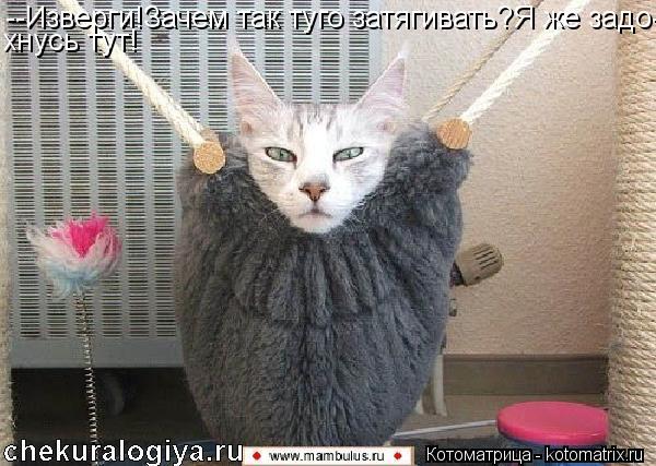 Котоматрица: --Изверги!Зачем так туго затягивать?Я же задо- хнусь тут!