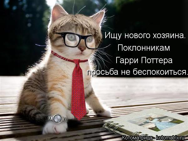 Котоматрица: Ищу нового хозяина. Поклонникам Гарри Поттера просьба не беспокоиться.