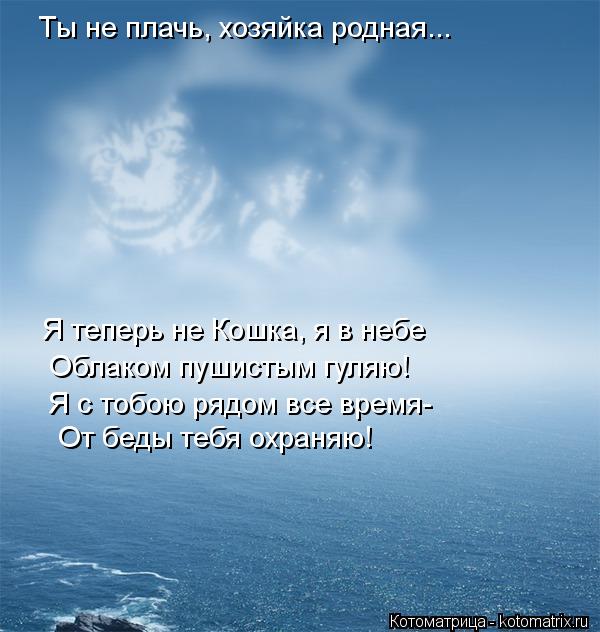 Котоматрица: Я теперь не Кошка, я в небе Облаком пушистым гуляю! Я с тобою рядом все время- От беды тебя охраняю! Ты не плачь, хозяйка родная...