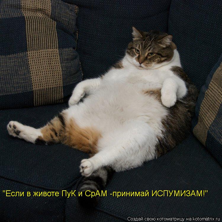 Котоматрица: "Если в животе ПуК и СрАМ -принимай ИСПУМИЗАМ!"