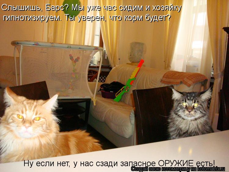 Котоматрица: Слышишь, Барс? Мы уже час сидим и хозяйку гипнотизируем. Ты уверен, что корм будет? Ну если нет, у нас сзади запасное ОРУЖИЕ есть!