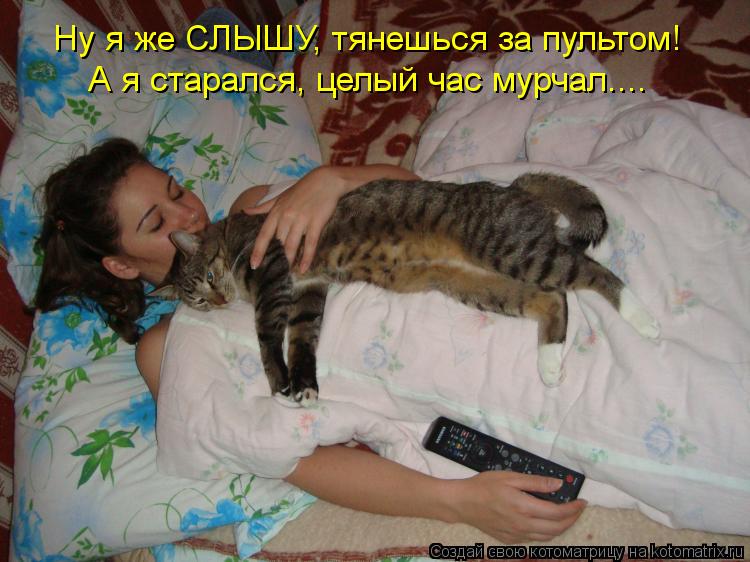 Котоматрица: Ну я же СЛЫШУ, тянешься за пультом! А я старался, целый час мурчал....