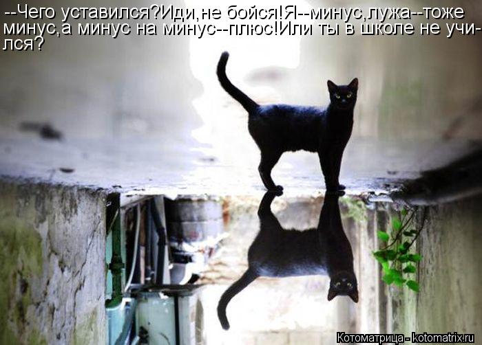 Котоматрица: --Чего уставился?Иди,не бойся!Я--минус,лужа--тоже минус,а минус на минус--плюс!Или ты в школе не учи- лся?