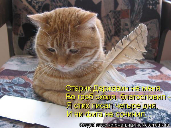 Старик Державин не меня, Во гроб сходя, благословил - Я стих писал четыре дня, И ни фига не сочинил.... Котоматрица: Старик Державин не меня, Во гроб сходя, благословил - Я стих писал четыре дня, И ни фига не сочинил...