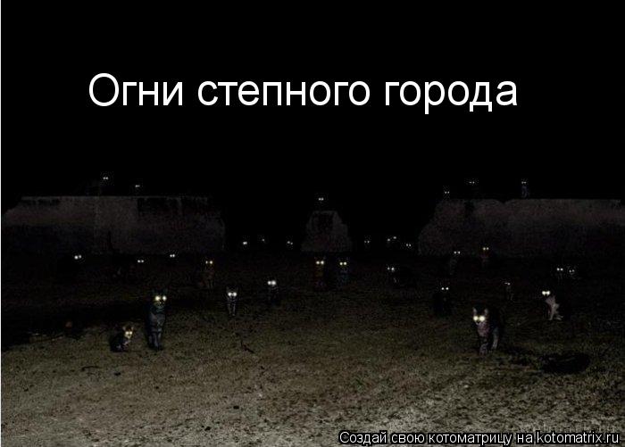Котоматрица: Огни степного города