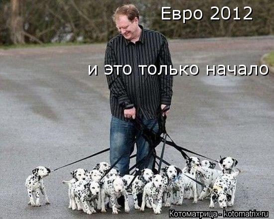 Котоматрица: Евро 2012 и это только начало