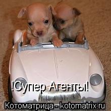 !Супер Агенты!... Котоматрица: !Супер Агенты!