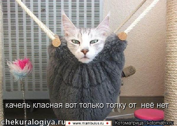 качель класная вот только толку от неё нет... Котоматрица: качель класная вот только толку от неё нет