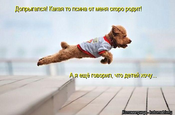 Котоматрица: Допрыгался! Какая то псина от меня скоро родит! А я ещё говорил, что детей хочу...