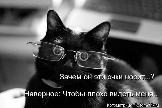 Котоматрица: Зачем он эти очки носит...?  Наверное: Чтобы плохо видеть меня..