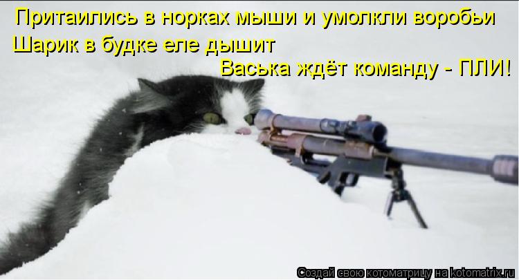 Котоматрица: Притаились в норках мыши и умолкли воробьи  Шарик в будке еле дышит  Васька ждёт команду - ПЛИ!