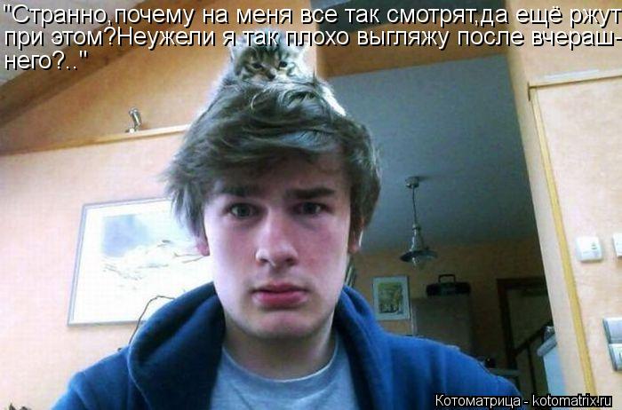 Котоматрица: "Странно,почему на меня все так смотрят,да ещё ржут при этом?Неужели я так плохо выгляжу после вчераш- него?.."