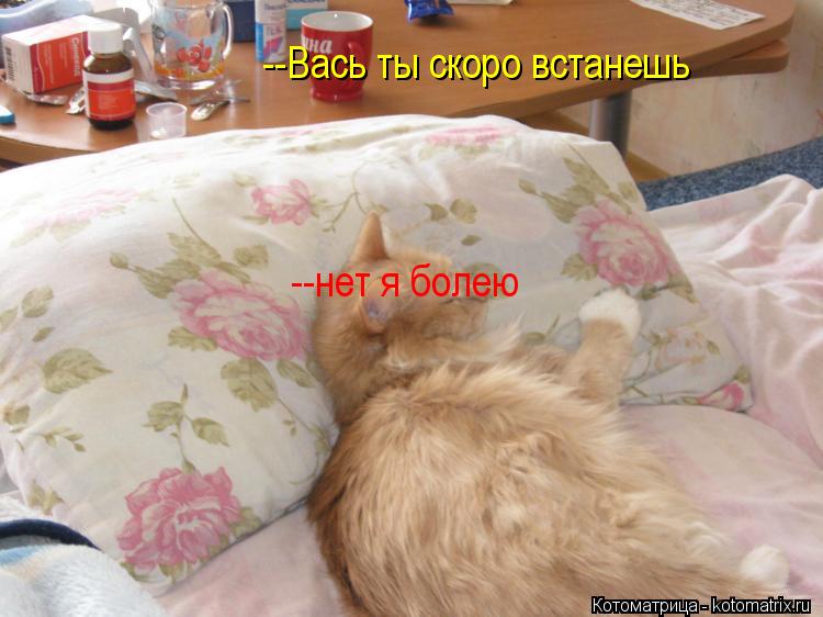 Котоматрица: --Вась ты скоро встанешь --нет я болею