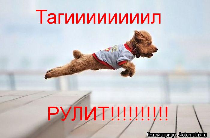 Тагиииииииил РУЛИТ!!!!!!!!!!... Котоматрица: Тагиииииииил РУЛИТ!!!!!!!!!!