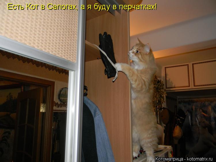 Есть Кот в Сапогах, а я буду в перчатках!... Котоматрица: Есть Кот в Сапогах, а я буду в перчатках!