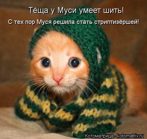 Тёща у Муси умеет шить! С тех пор Муся решила стать стриптизёршей!... Котоматрица: Тёща у Муси умеет шить! С тех пор Муся решила стать стриптизёршей!