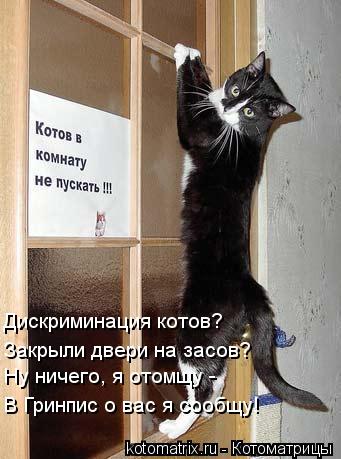 Дискриминация котов? Закрыли двери на засов? Ну ничего, я отомщу - В Гринпис о вас я сообщу!... Котоматрица: Дискриминация котов? Закрыли двери на засов? Ну ничего, я отомщу - В Гринпис о вас я сообщу!