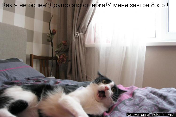 Котоматрица: Как я не болен?Доктор,это ошибка!У меня завтра 8 к.р.!