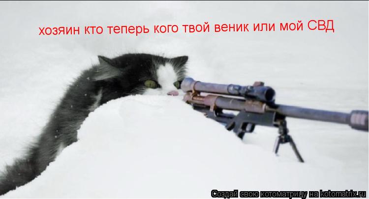 Котоматрица: хозяин кто теперь кого твой веник или мой СВД