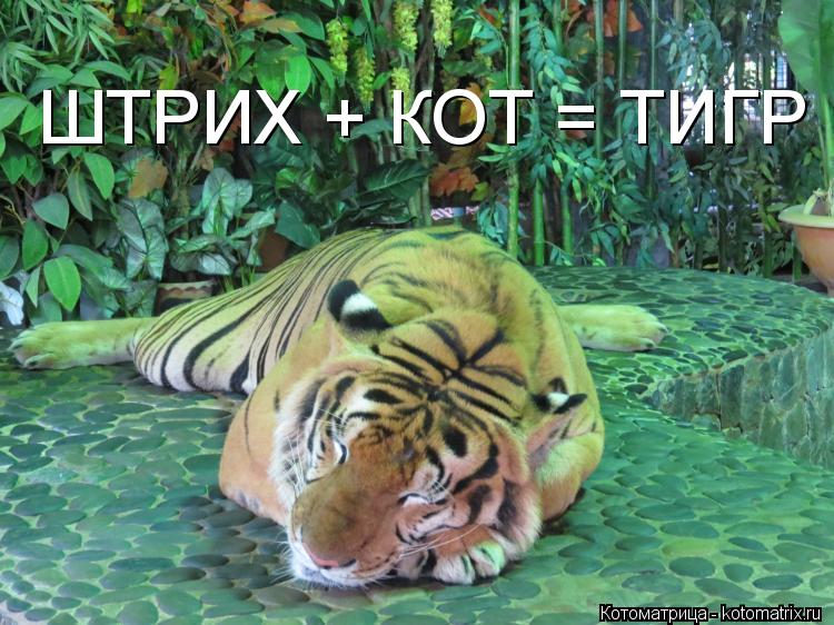 Котоматрица: ШТРИХ + КОТ = ТИГР