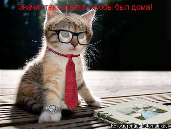 Котоматрица: Значит так,в девять чтобы был дома!