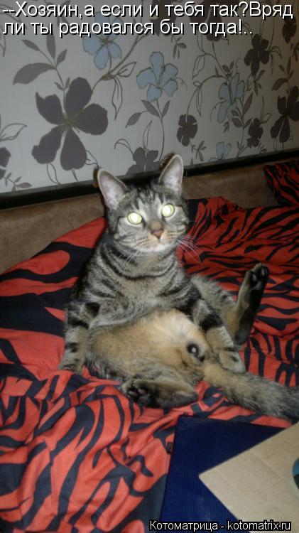 Котоматрица: --Хозяин,а если и тебя так?Вряд ли ты радовался бы тогда!..