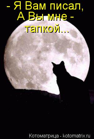 - Я Вам писал, А Вы мне - тапкой...... Котоматрица: - Я Вам писал, А Вы мне - тапкой...