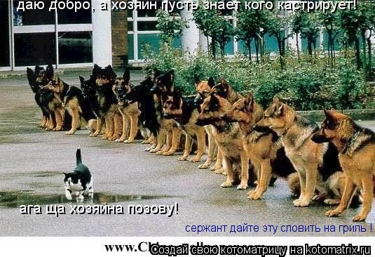 сержант дайте эту словить на гриль ! даю добро, а хозяин пусть знает кого кастрирует! ага ща хозяйна ... Котоматрица: сержант дайте эту словить на гриль ! даю добро, а хозяин пусть знает кого кастрирует! ага ща хозяйна позову!