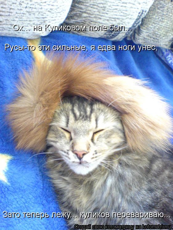 Котоматрица: Ох... на Куликовом поле был... Русы-то эти сильные, я едва ноги унес, Зато теперь лежу... куликов перевариваю...