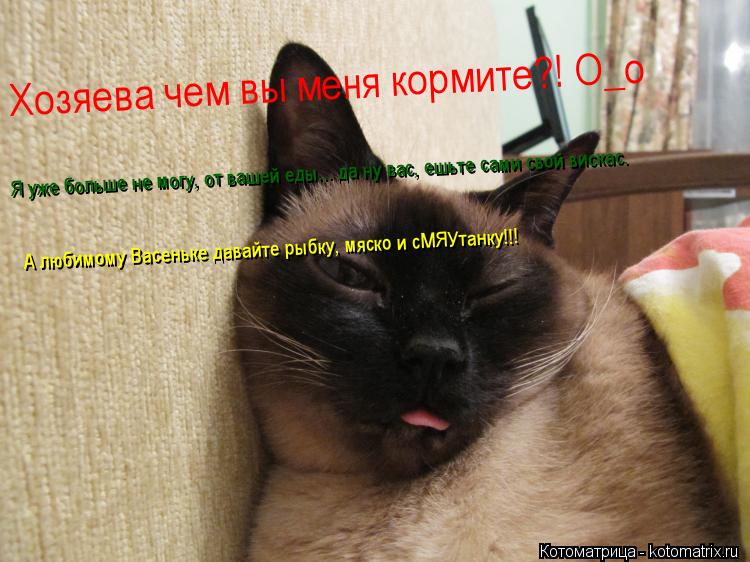 Котоматрица: Хозяева чем вы меня кормите?! О_о Я уже больше не могу, от вашей еды... да ну вас, ешьте сами свой вискас.  А любимому Васеньке давайте рыбку, мяс