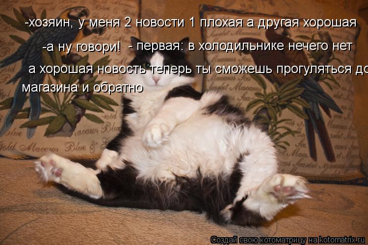-хозяин, у меня 2 новости 1 плохая а другая хорошая -а ну говори! - первая: в холодильнике нечего нет... Котоматрица: -хозяин, у меня 2 новости 1 плохая а другая хорошая -а ну говори! - первая: в холодильнике нечего нет а хорошая новость теперь ты сможешь прогу