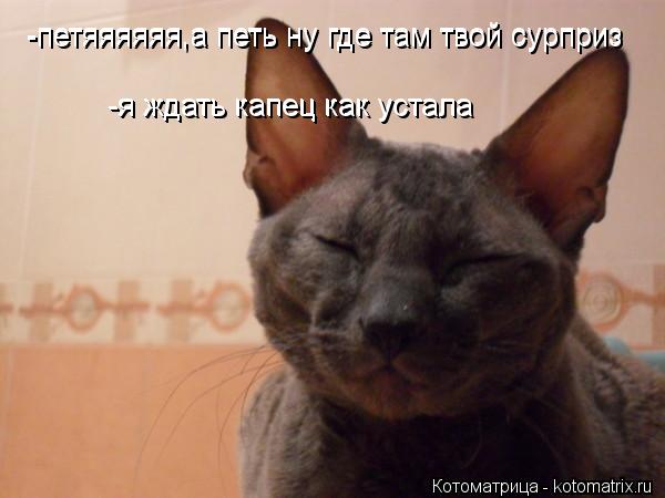 Котоматрица: -петяяяяяя,а петь ну где там твой сурприз -петяяяяяя,а петь ну где там твой сурприз -я ждать капец как устала -я ждать капец как устала