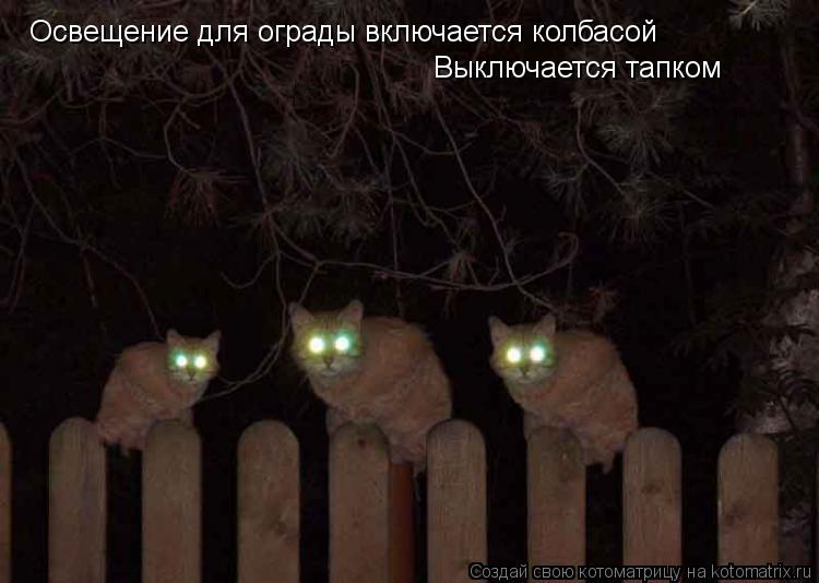 Котоматрица: Освещение для ограды включается колбасой Выключается тапком