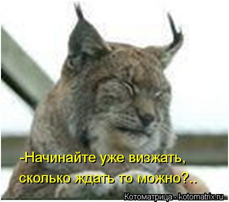 Котоматрица: -Начинайте уже визжать, сколько ждать то можно?..