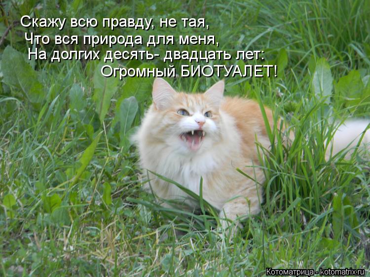 Котоматрица: Скажу всю правду, не тая, Что вся природа для меня, На долгих десять- двадцать лет: Огромный БИОТУАЛЕТ!