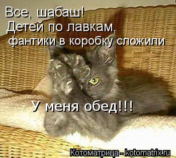 Котоматрица: Все, шабаш! Детей по лавкам,  фантики в коробку сложили У меня обед!!!