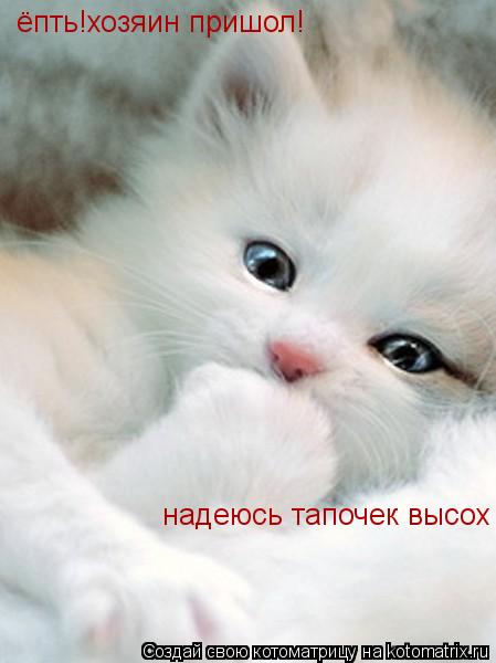 Котоматрица: ёпть!хозяин пришол! надеюсь тапочек высох