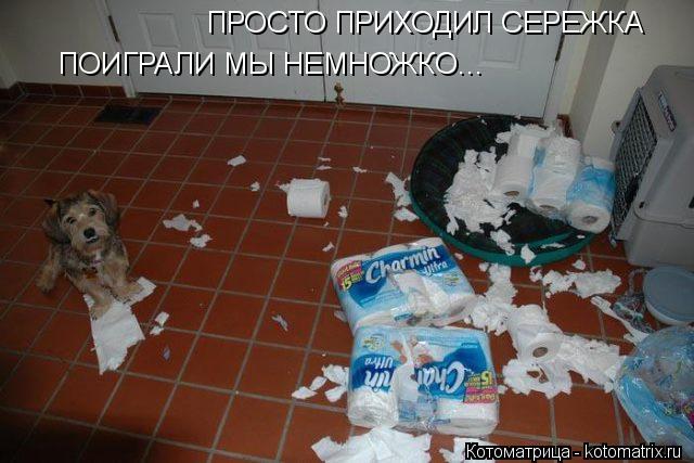 ПРОСТО ПРИХОДИЛ СЕРЕЖКА ПОИГРАЛИ МЫ НЕМНОЖКО...... Котоматрица: ПРОСТО ПРИХОДИЛ СЕРЕЖКА ПОИГРАЛИ МЫ НЕМНОЖКО...