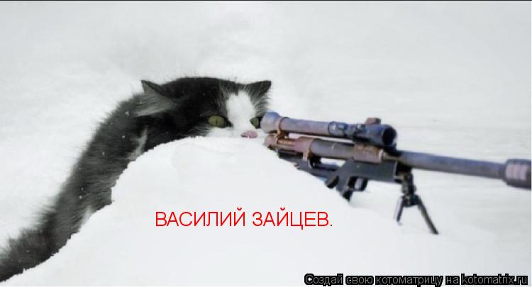 Котоматрица: ВАСИЛИЙ ЗАЙЦЕВ.