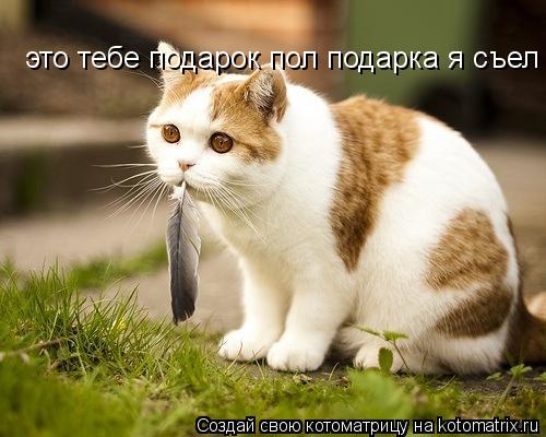 это тебе подарок пол подарка я съел... Котоматрица: это тебе подарок пол подарка я съел