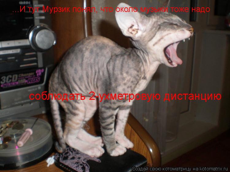 ...И тут Мурзик понял, что около музыки тоже надо соблюдать 2-ухметровую дистанцию... Котоматрица: ...И тут Мурзик понял, что около музыки тоже надо соблюдать 2-ухметровую дистанцию
