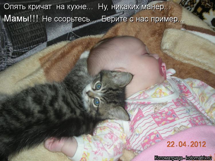 Опять кричат на кухне... Ну, никаких манер... Мамы!!! Не ссорьтесь... Берите с нас пример...... Котоматрица: Опять кричат на кухне... Ну, никаких манер... Мамы!!! Не ссорьтесь... Берите с нас пример...