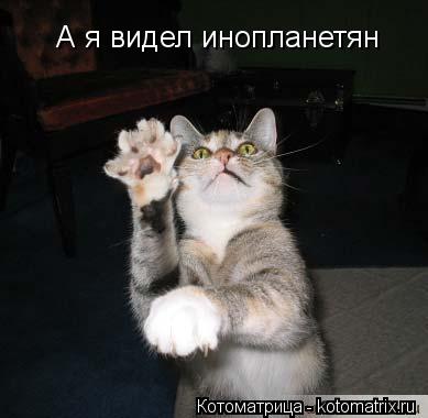 А я видел инопланетян... Котоматрица: А я видел инопланетян