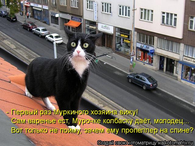 Сам варенье ест, Мурочке колбаску даёт, молодец... - Первый раз Муркиного хозяина вижу! Вот только не... Котоматрица: Сам варенье ест, Мурочке колбаску даёт, молодец... - Первый раз Муркиного хозяина вижу! Вот только не пойму, зачем ему пропеллер на спине?